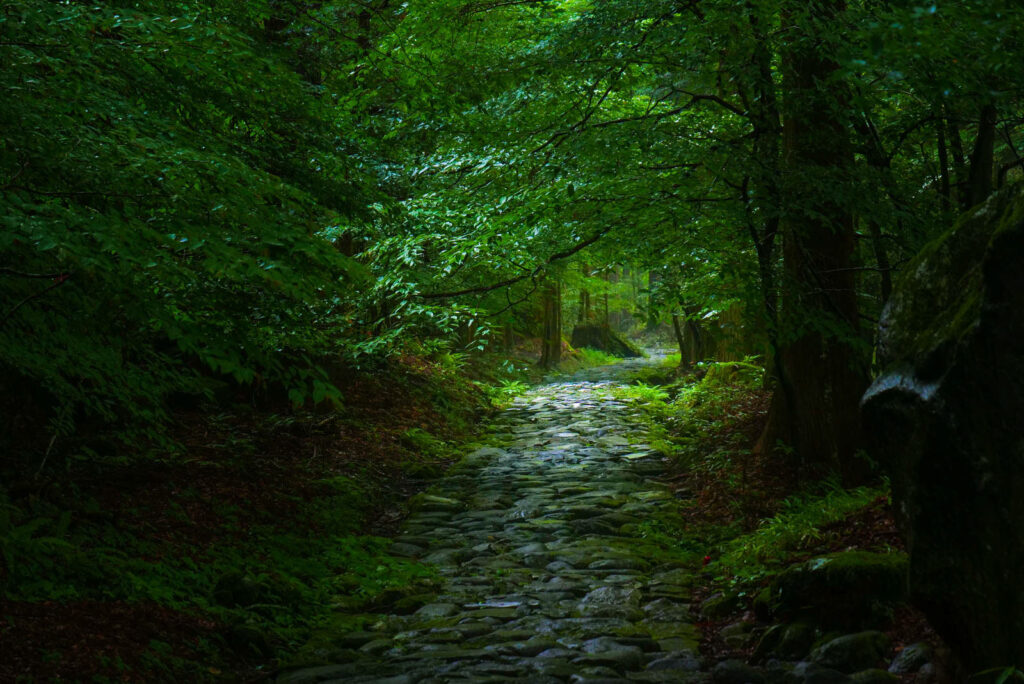Le sentier de la méditation #1