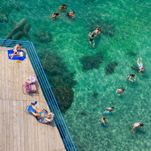 Photo d'une scène de baignade avec un requin apparaissant dans le coin de l'image.