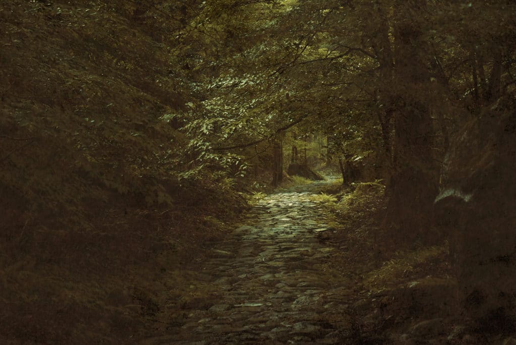 Le sentier de la méditation #2